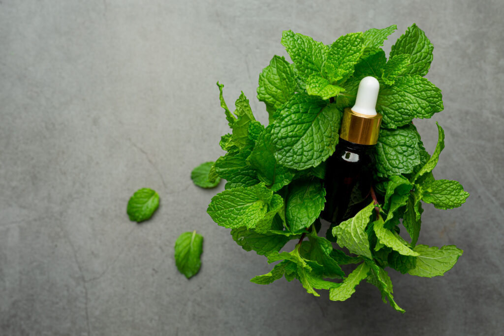 Natural Remedies for Digestive Disorders