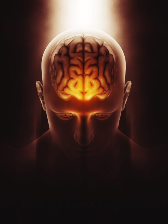 6 Brain-Boosting Foods Proven to Enhance Focus and Memory