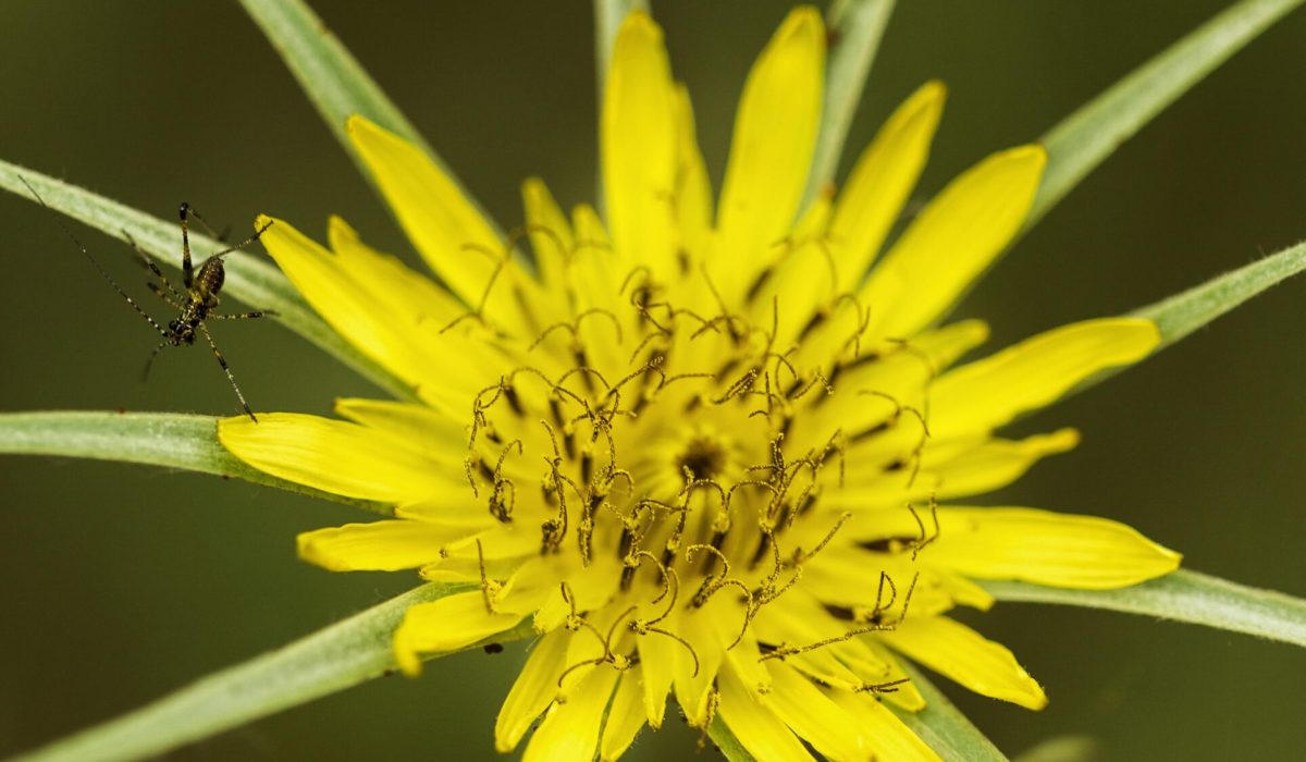 beautiful-yellow-flower-arrangement beautiful-yellow-flower-arrangement