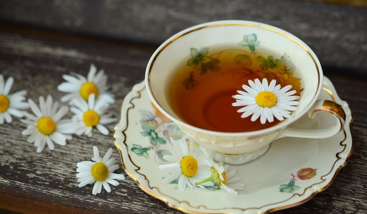 Natural Remedies for Digestive Disorders Natural Remedies for Digestive Disorders