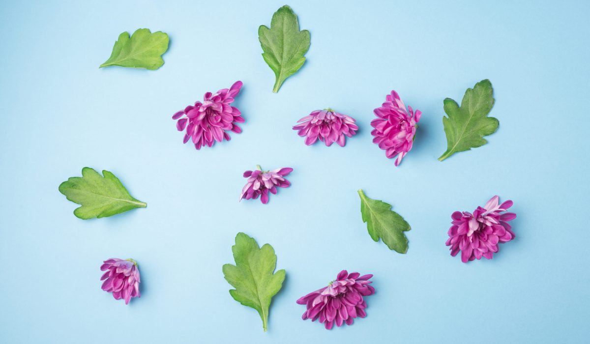 modern-flowers-concept-with-elegant-style hormonal balance