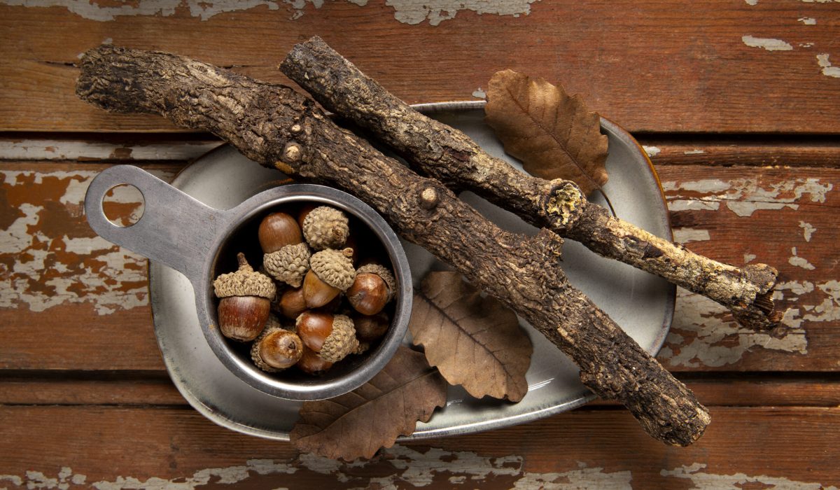 Natural Remedies for Digestive Disorders Natural Remedies for Digestive Disorders